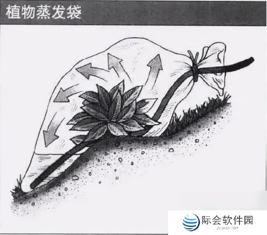 荒岛求生怎么获取淡水 流落荒岛生存手册