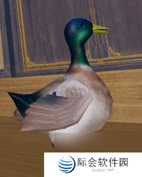 剑网3滴水恩宠物奇遇攻略