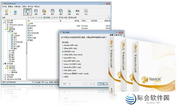 navicat premium纯净版