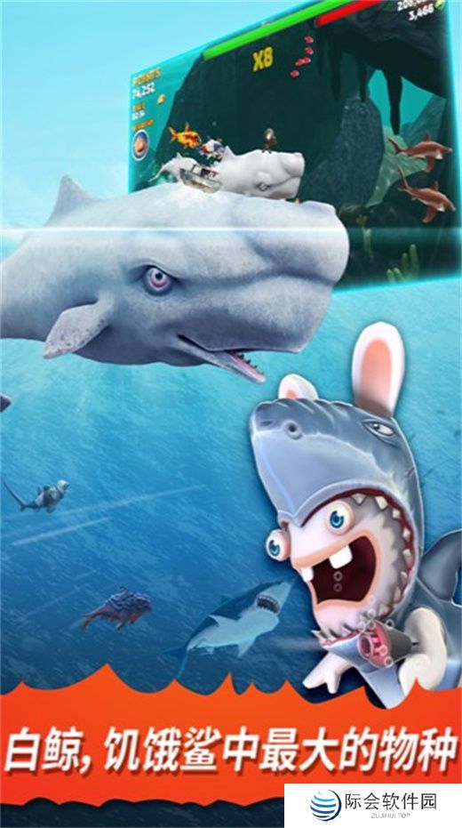 饥饿鲨进化下载