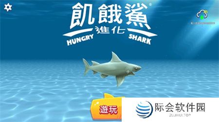 饥饿鲨进化下载