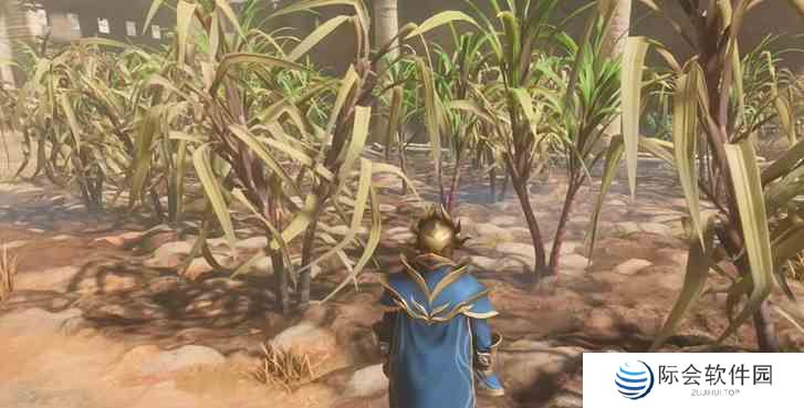 雾锁王国甘蔗获取方法图2