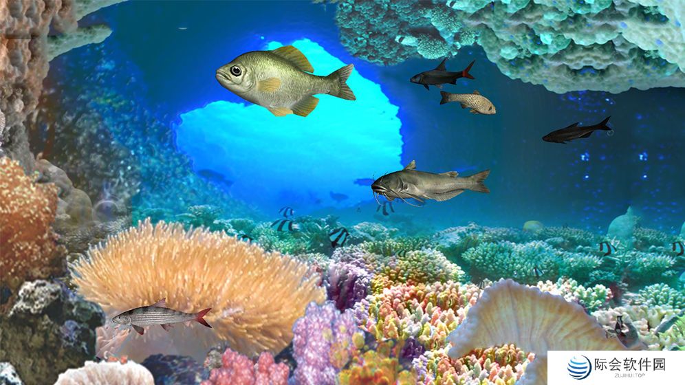 模拟真实钓鱼的游戏推荐 轻松钓鱼模拟小游戏